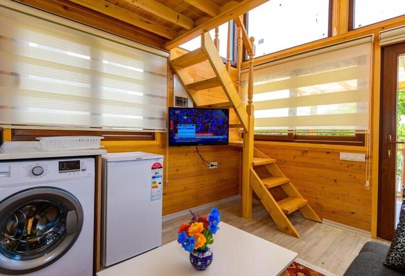 ویلای استاندارد با چشم‌انداز باغ, Anatolian Apartments