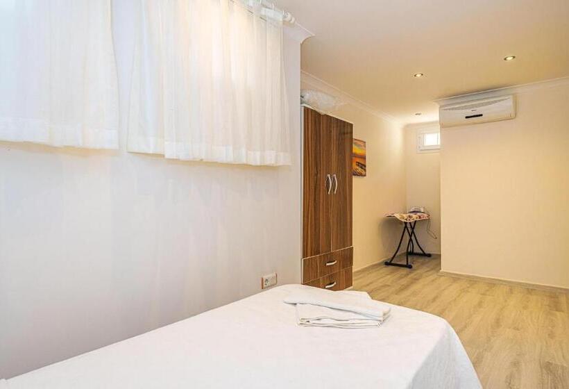 آپارتمان دوبلکس 1 خوابه, Anatolian Apartments