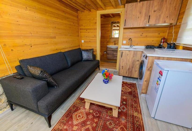 ویلای استاندارد با چشم‌انداز باغ, Anatolian Apartments