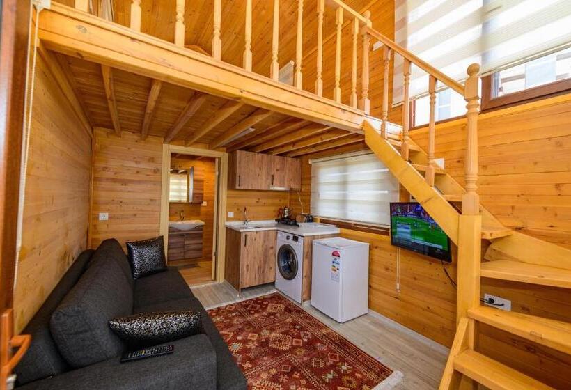 ویلای استاندارد با چشم‌انداز باغ, Anatolian Apartments