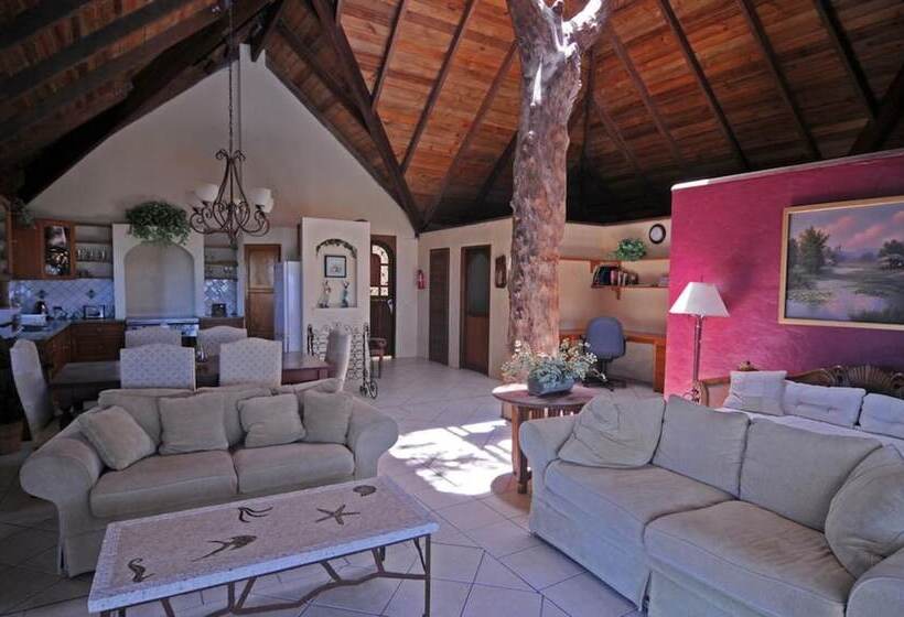 ویلای 1 خوابه با چشم‌انداز دریا, Hideaway Island Resort