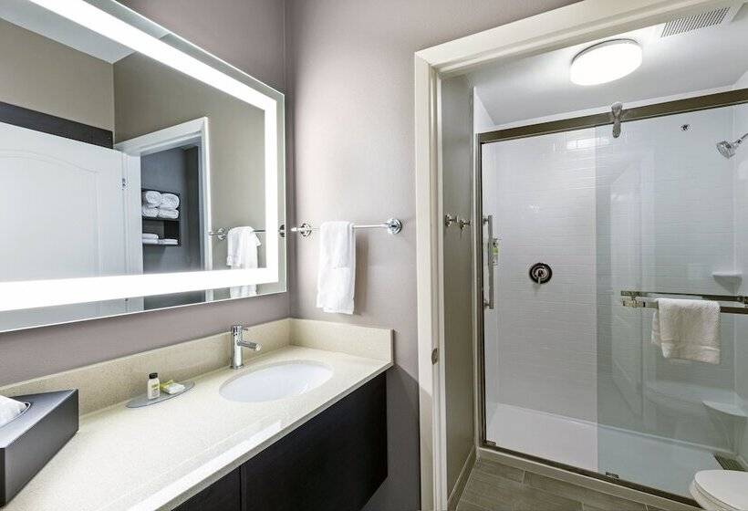 スイート, Staybridge Suites   Houston Iah Airport East, An Ihg