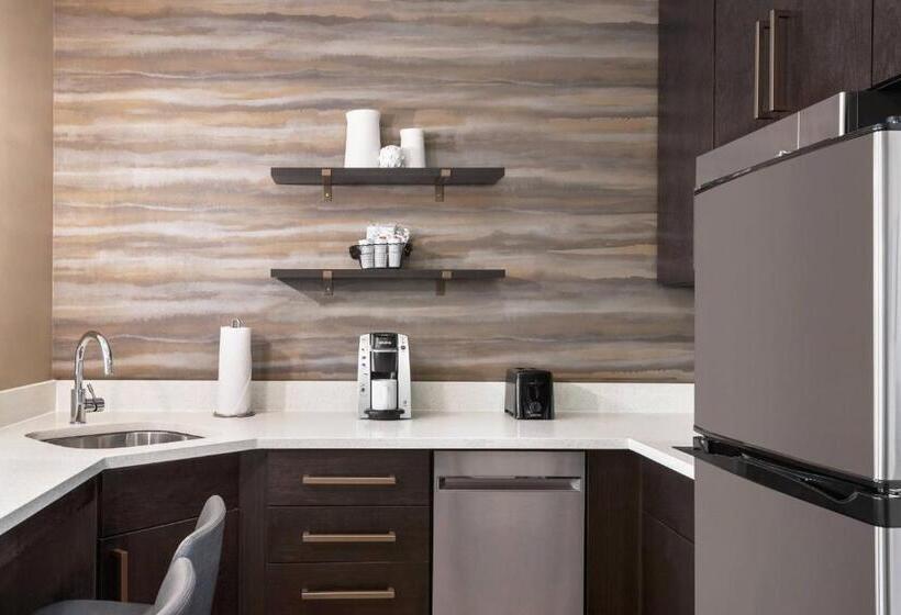 استودیو استاندارد با تخت کینگ, Residence Inn By Marriott Des Moines Ankeny