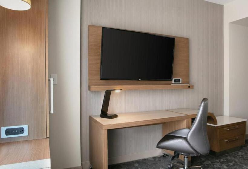 اتاق استاندارد با تخت بزرگ, Courtyard Sioux City Downtown/convention Center