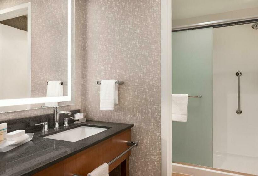 Студио Стандарт с Видом, Homewood Suites By Hilton Wilmington Downtown