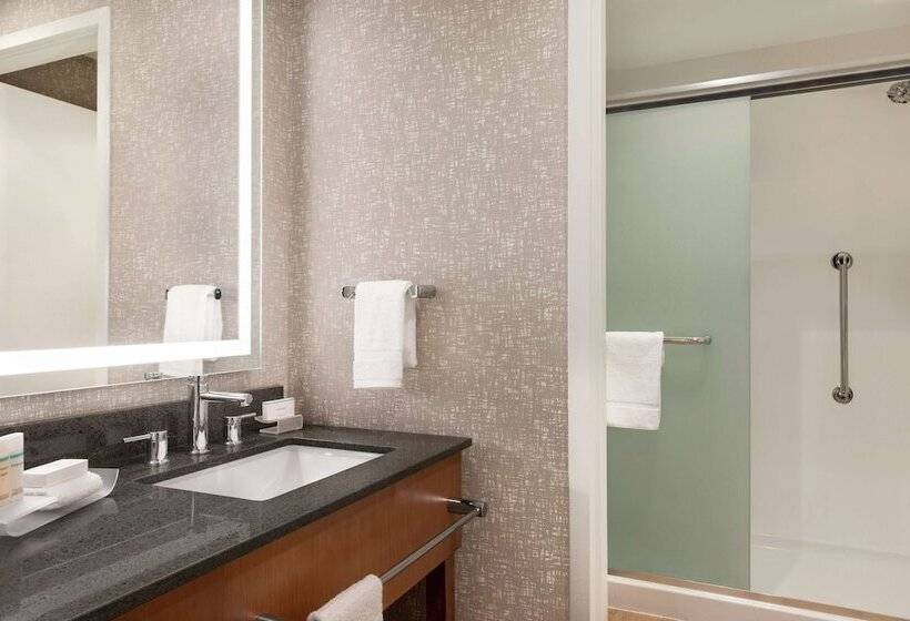 Люкс с Видом, Homewood Suites By Hilton Wilmington Downtown