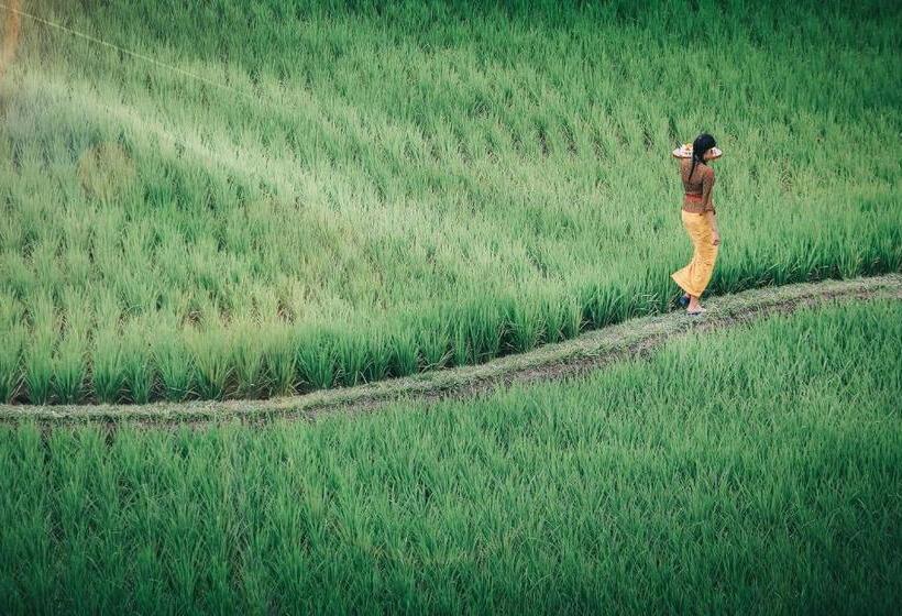 전망 스위트, Kuwarasan A Pramana Experience