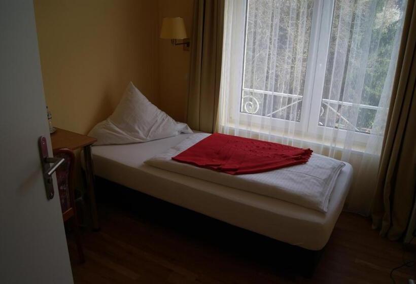 Одноместный Номер Basic, Villa Kisseleff
