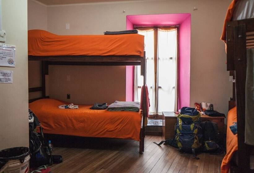 تختخواب در اتاق مشترک, The Adventure Brew Downtwon Hostel