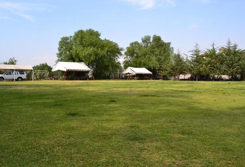 اتاق استاندارد با 2 تخت دوبل, Quetzalcalli