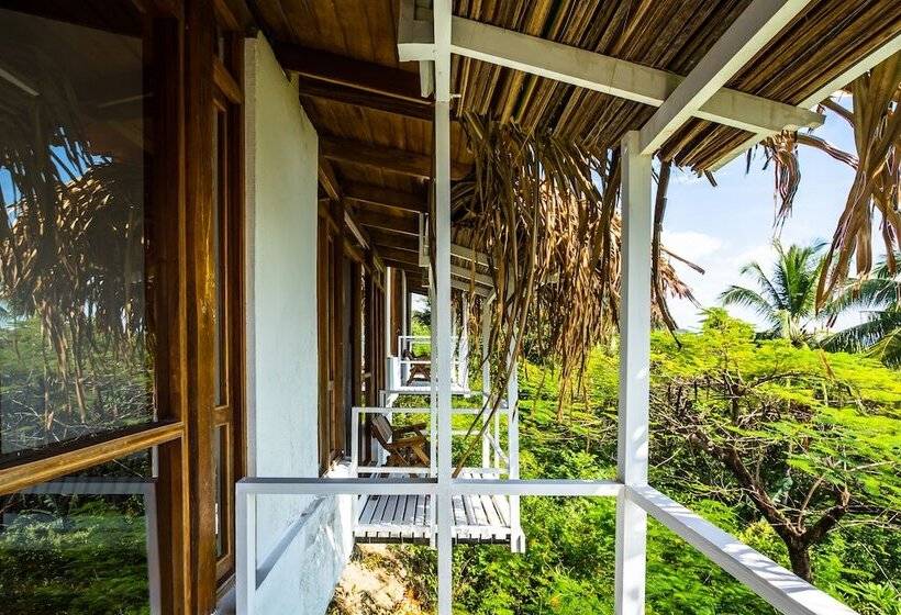 سوئیت با تخت بزرگ, Nosara Beach