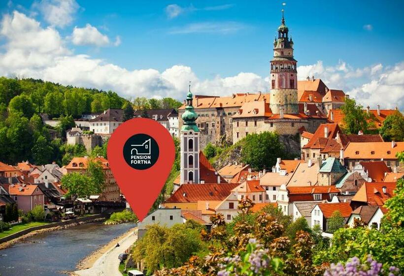 Номер Стандарт с Террасой, Pension Fortna