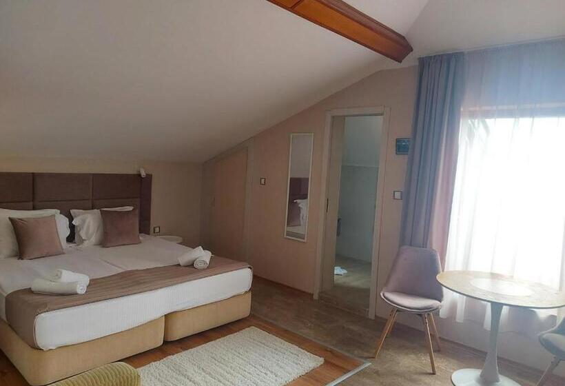 Quarto Standard Teto Inclinado, Family Hotel Saint Nikola
