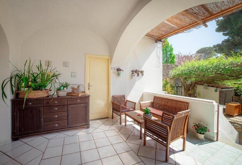 اتاق خانوادگی, Mimi B&b