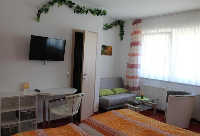 Номер Economy, Pension Alscher Garni