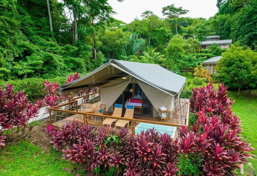 چادر با خدمات رفاهی ممتاز, Isla Chiquita Glamping