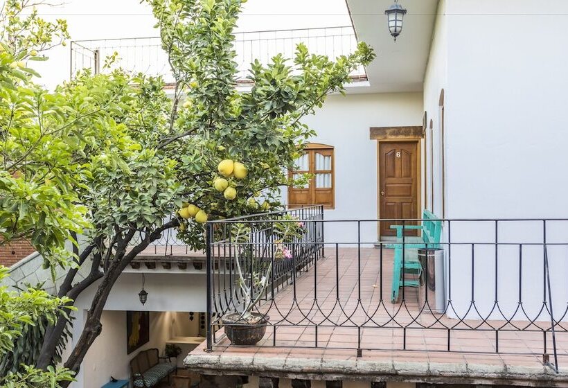 اتاق لوکس با تخت بزرگ, Nana Vida Hotel Oaxaca