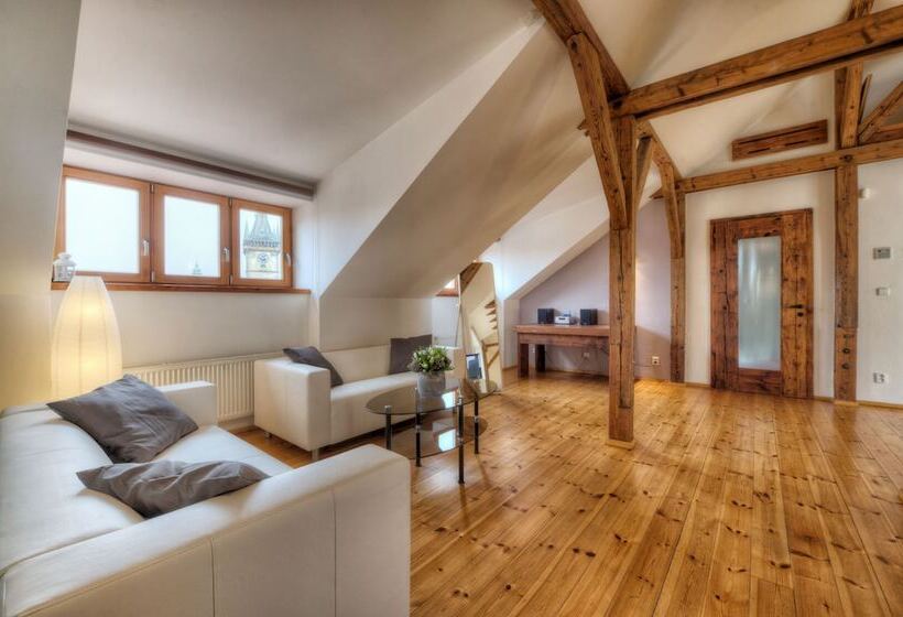 1 Bedroom Apartment City View, Residence St Havel Prague Old Town