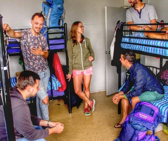 带共用卧室公用房间的床, Choice Backpackers