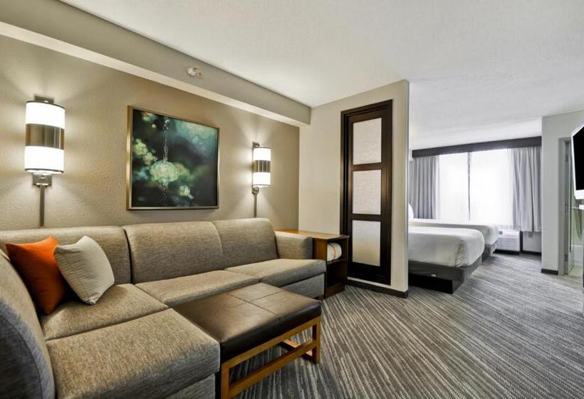 Номер Стандарт, Hyatt Place Minneapolis Eden Prairie