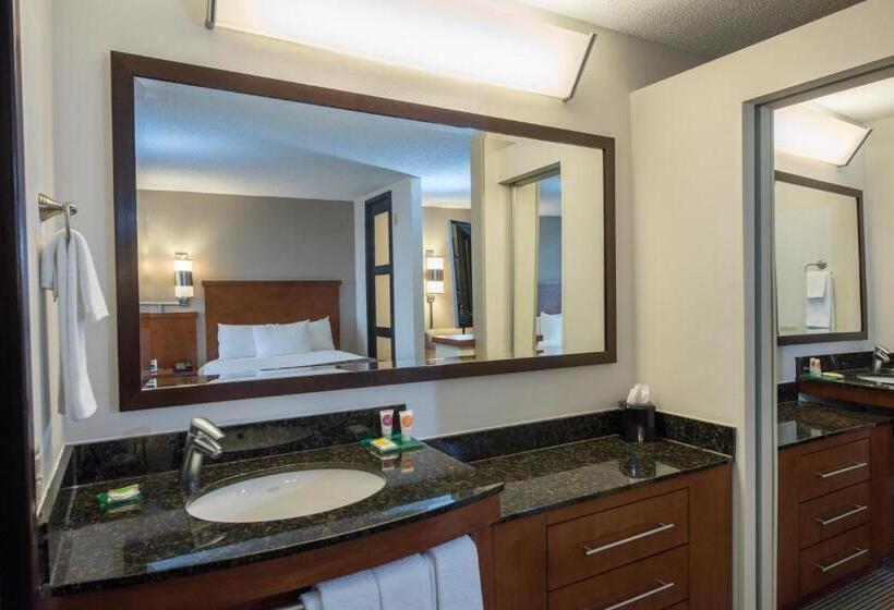 Номер Стандарт Кровать Кинг Адаптированный для Инвалидов, Hyatt Place Minneapolis Eden Prairie