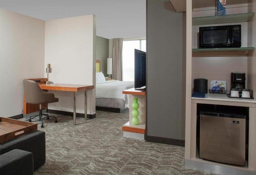 Студио Стандарт Кровать Кинг, Springhill Suites Cincinnati North Forest Park