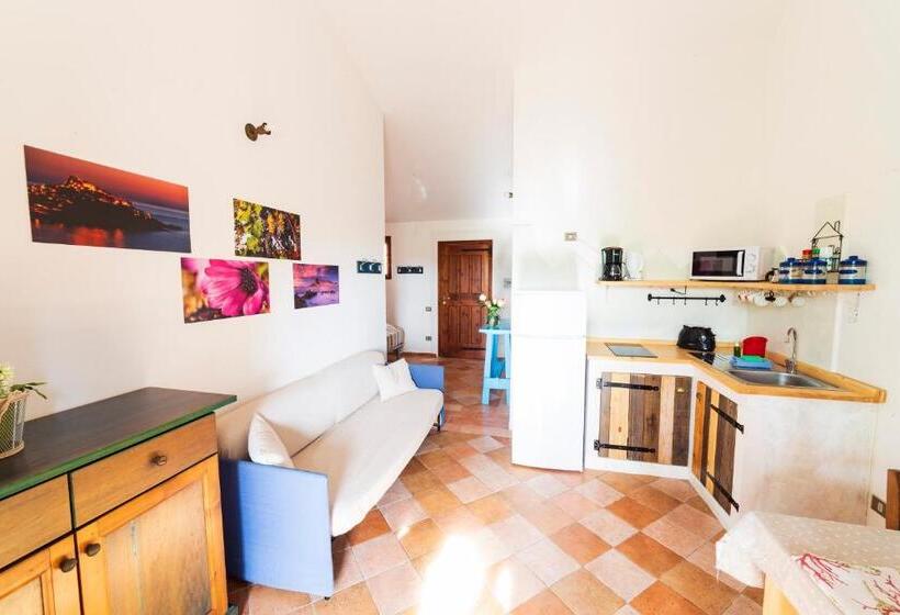 استودیوی استاندارد, Residence La Rosa