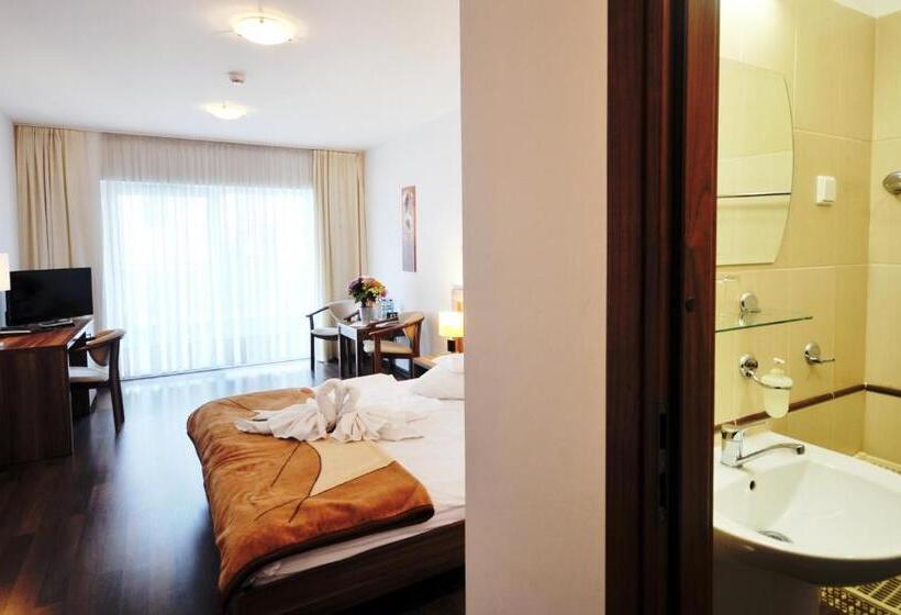 Номер Стандарт, Bursztyn Spa