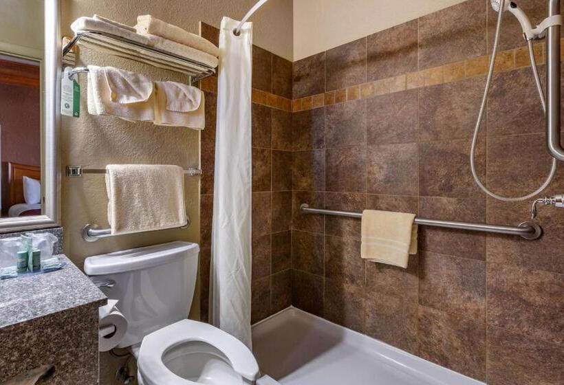 Номер Стандарт Адаптированный для Инвалидов, Best Western Canyon De Chelly Inn