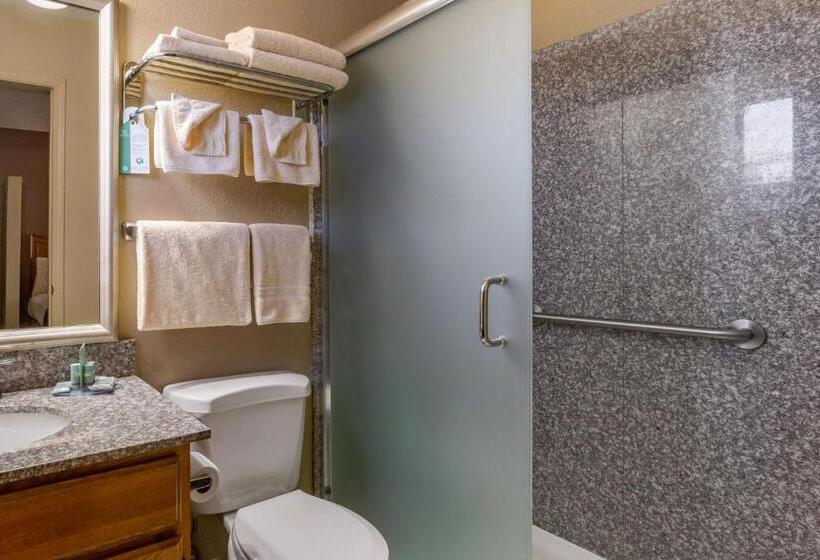 带大床的标准间, Best Western Canyon De Chelly Inn