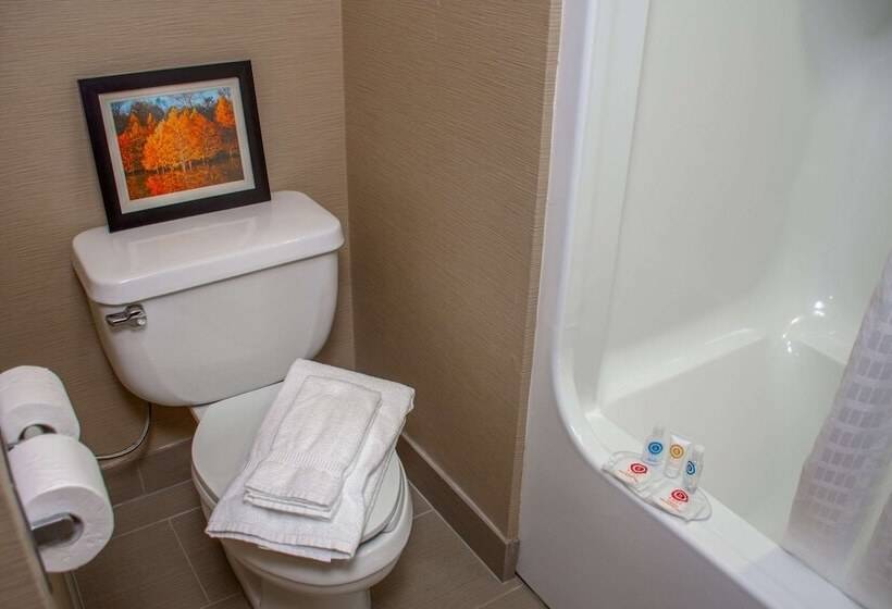 标准间, Comfort Inn