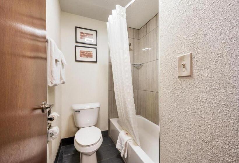 Quarto Estandar 2 Camas Casal, Comfort Inn Mayfield Heights Cleveland East