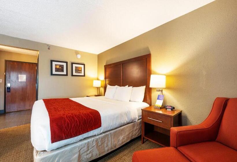 Стандартный Номер Кровать Кинг, Comfort Inn Mayfield Heights Cleveland East