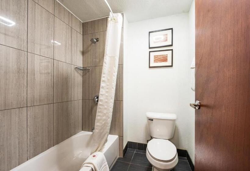 Suíte Cama King, Comfort Inn Mayfield Heights Cleveland East