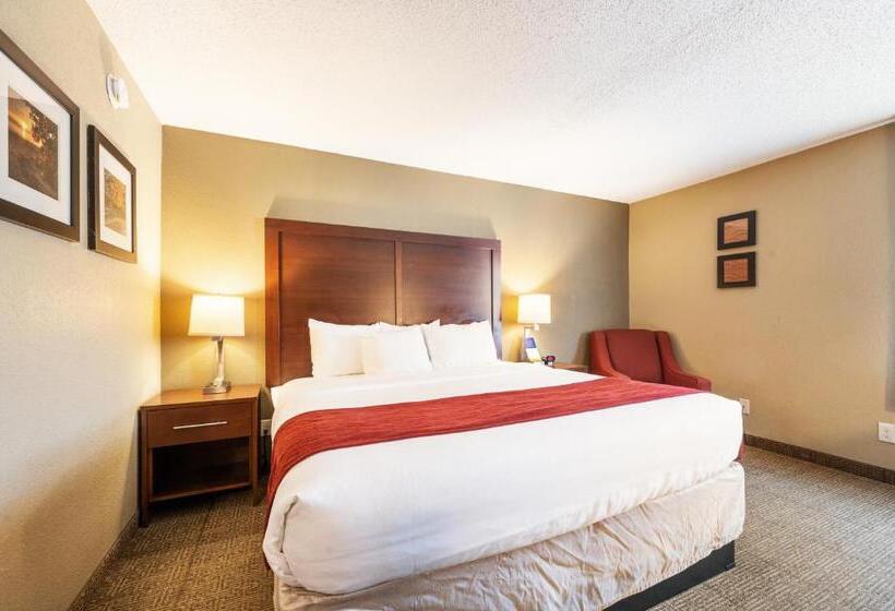 Люкс Кровать Кинг, Comfort Inn Mayfield Heights Cleveland East
