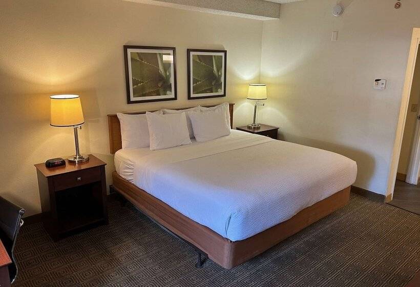 اتاق لوکس, La Quinta By Wyndham Orlando South