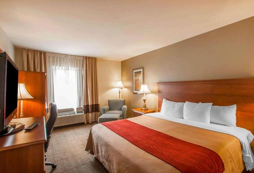 带大床的标准间, Quality Inn & Suites Germantown North