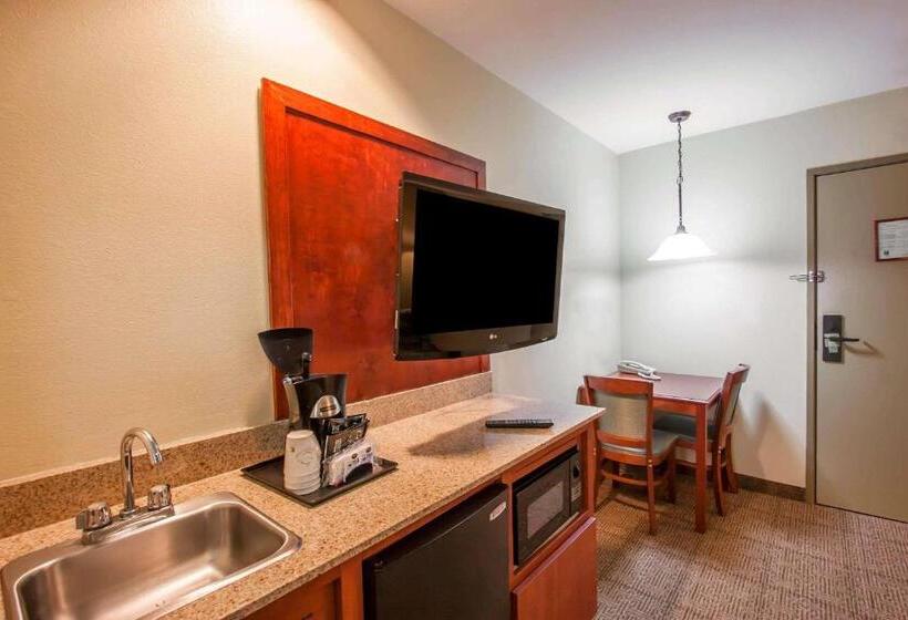 带大床的套房, Quality Inn & Suites Germantown North