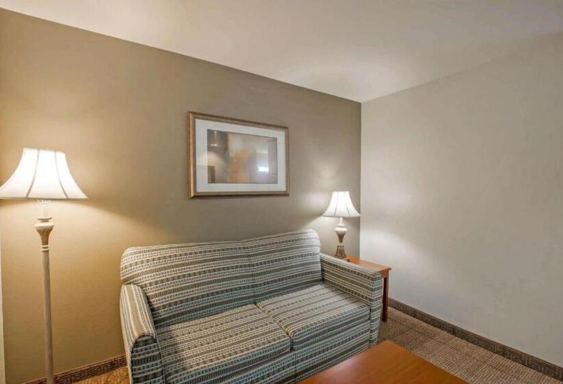 带大床的套房, Quality Inn & Suites Germantown North