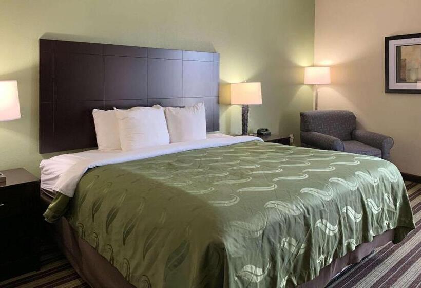 اتاق استاندارد با تخت بزرگ, Quality Inn & Suites