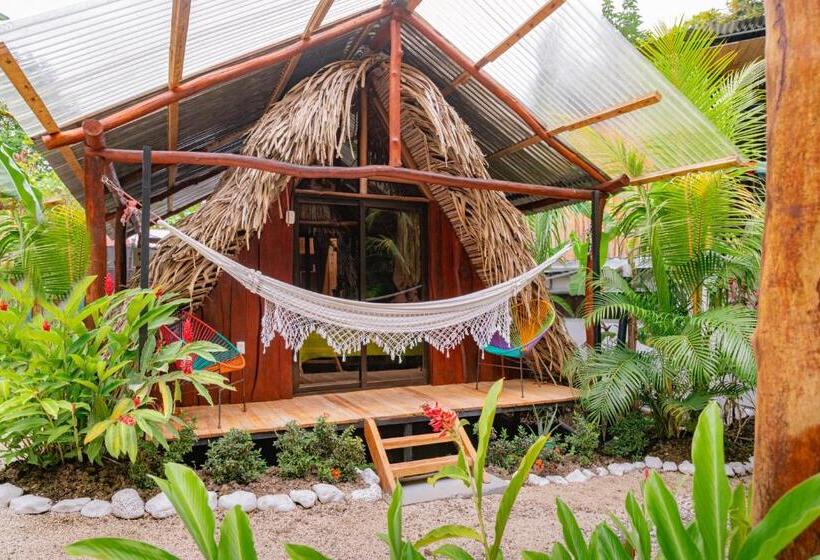 Standard Tent, El Gato Rojas Surf Hostel