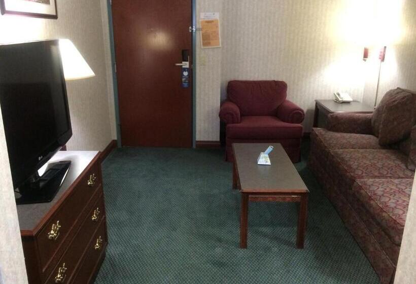 سوئیت با تخت بزرگ, Best Western Elkhart Inn & Suites