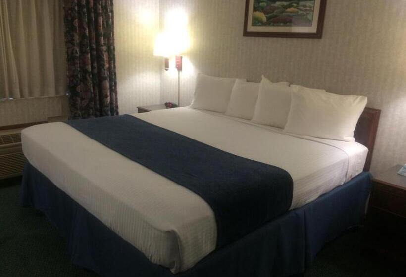 اتاق استاندارد با تخت بزرگ, Best Western Elkhart Inn & Suites