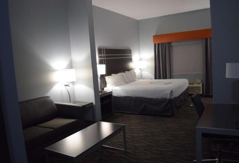 اتاق استاندارد با تخت بزرگ, Best Western Elkhart Inn & Suites