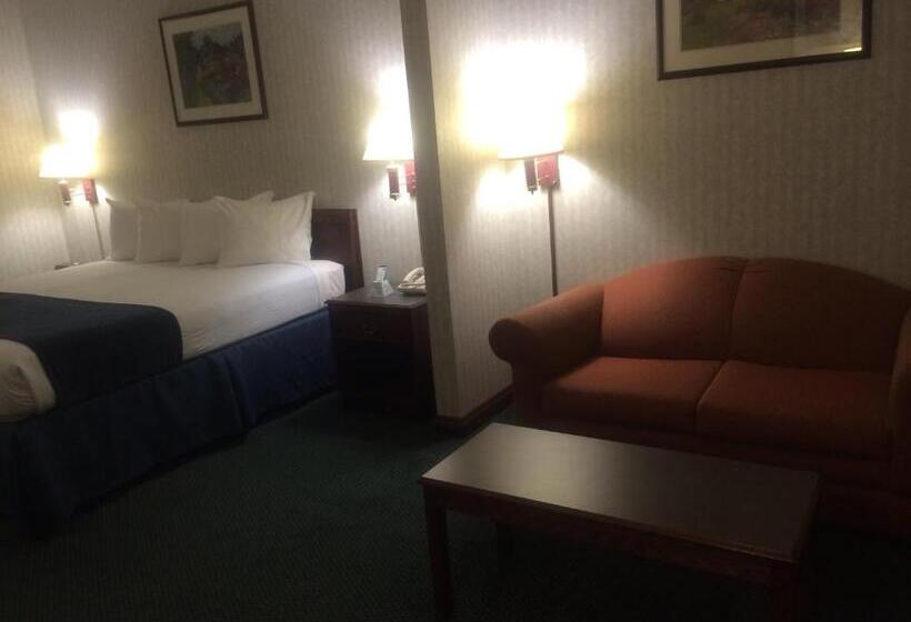 اتاق استاندارد, Best Western Elkhart Inn & Suites