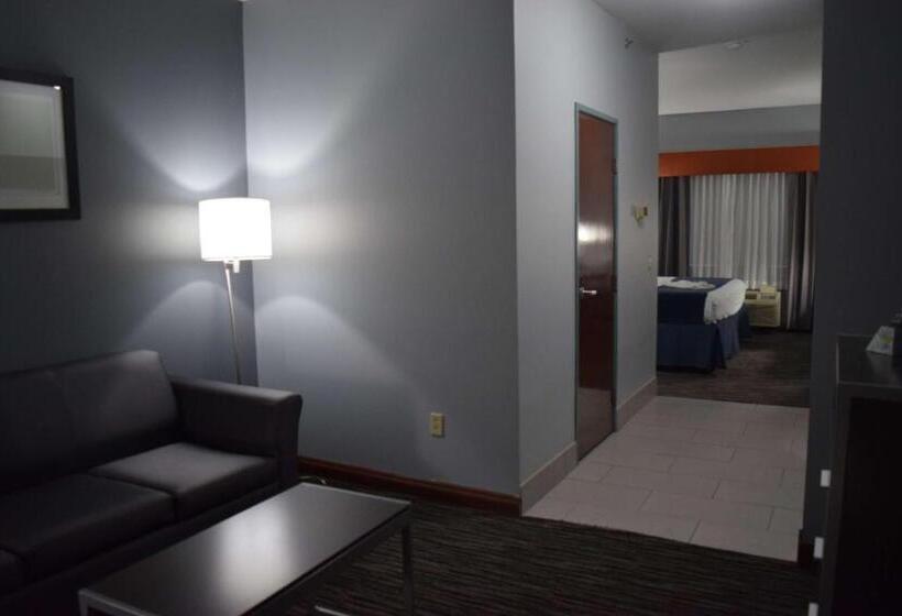 سوئیت با تخت بزرگ, Best Western Elkhart Inn & Suites