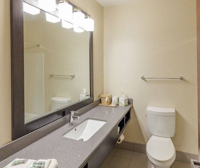 سوییت, Best Western Elkhart Inn & Suites