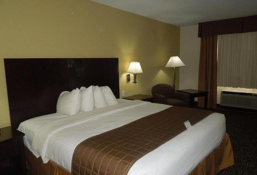 Номер Стандарт Кровать Кинг Адаптированный для Инвалидов, Best Western Inn