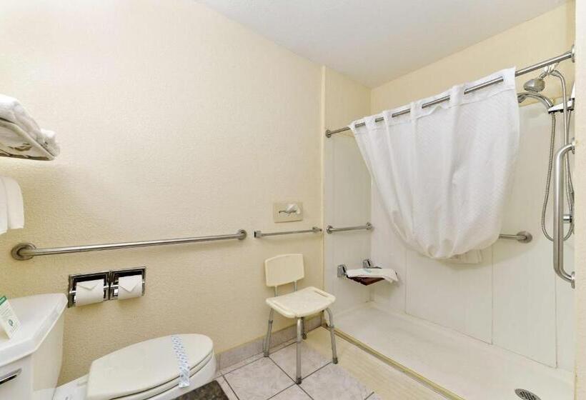 Номер Стандарт Кровать Кинг Адаптированный для Инвалидов, Best Western Inn