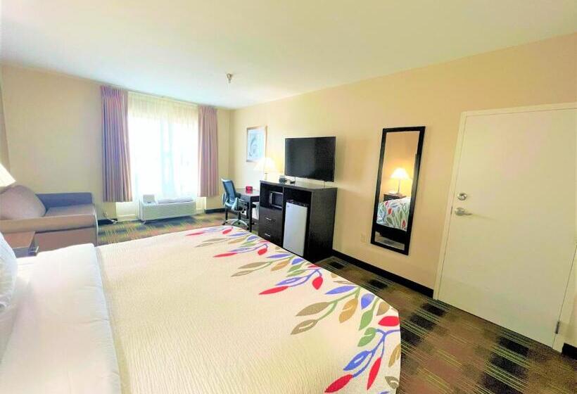 Номер Стандарт Кровать Кинг Адаптированный для Инвалидов, Trident Inn & Suites New Orleans